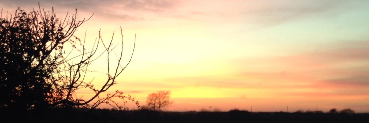 tillywhitehead's profile banner image