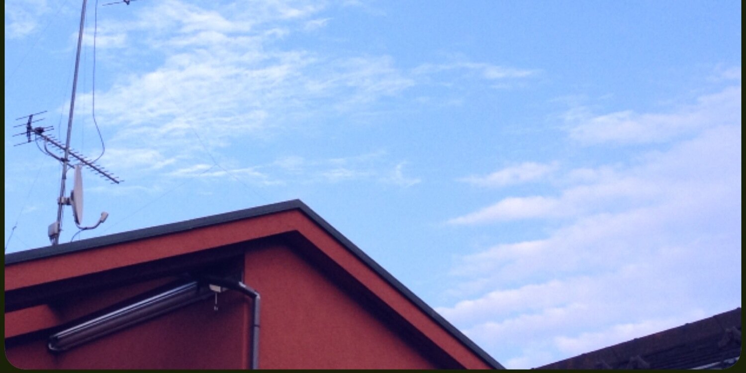 杏 banner