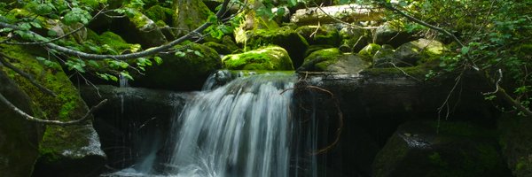 derekkite Profile Banner