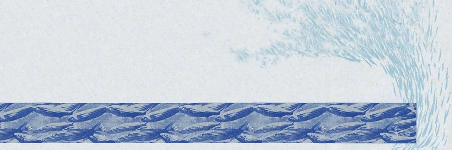 nortinaswar's profile banner image
