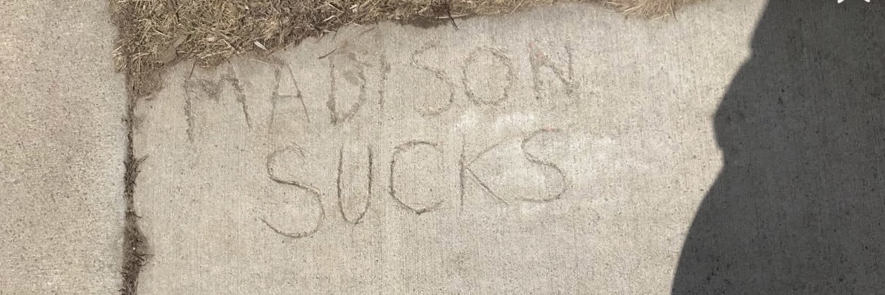 madisonnorris18's profile banner image
