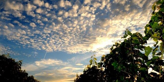 AnneMagnien's profile banner image