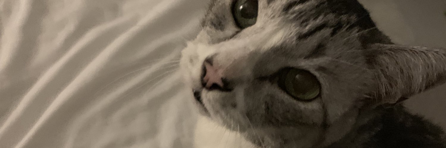 nrlaynn's profile banner image