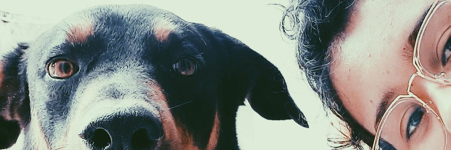 andrzsousa's profile banner image