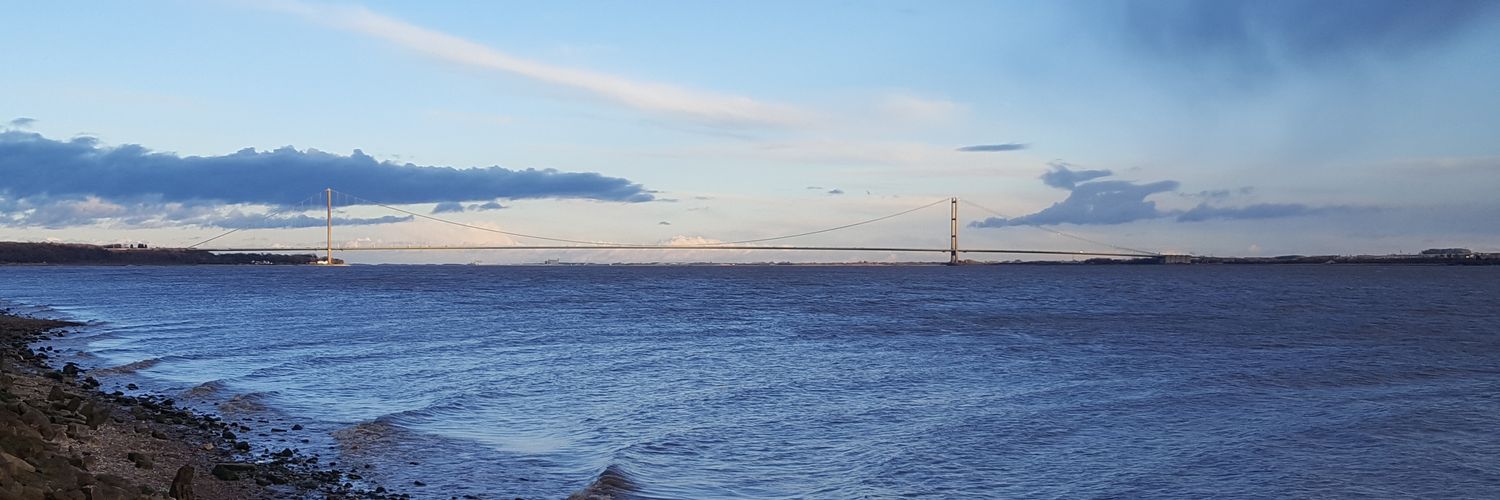 Hester Bridges 💙 banner