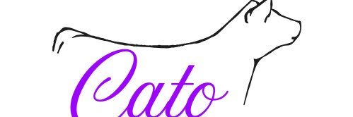 RaylynRay's profile banner image