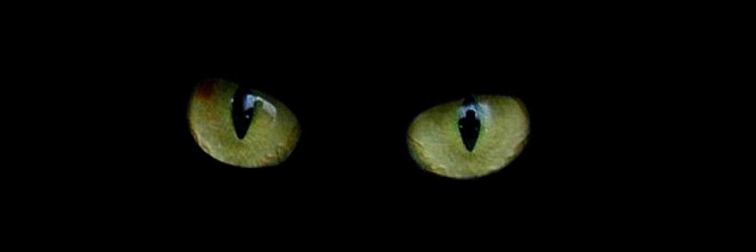 MattheGrinch's profile banner image