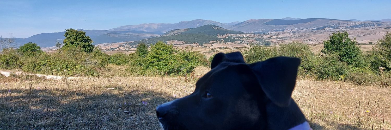 piculin4's profile banner image