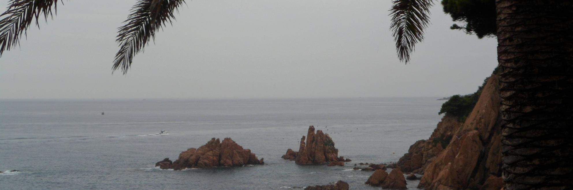 soniaa_ad's profile banner image
