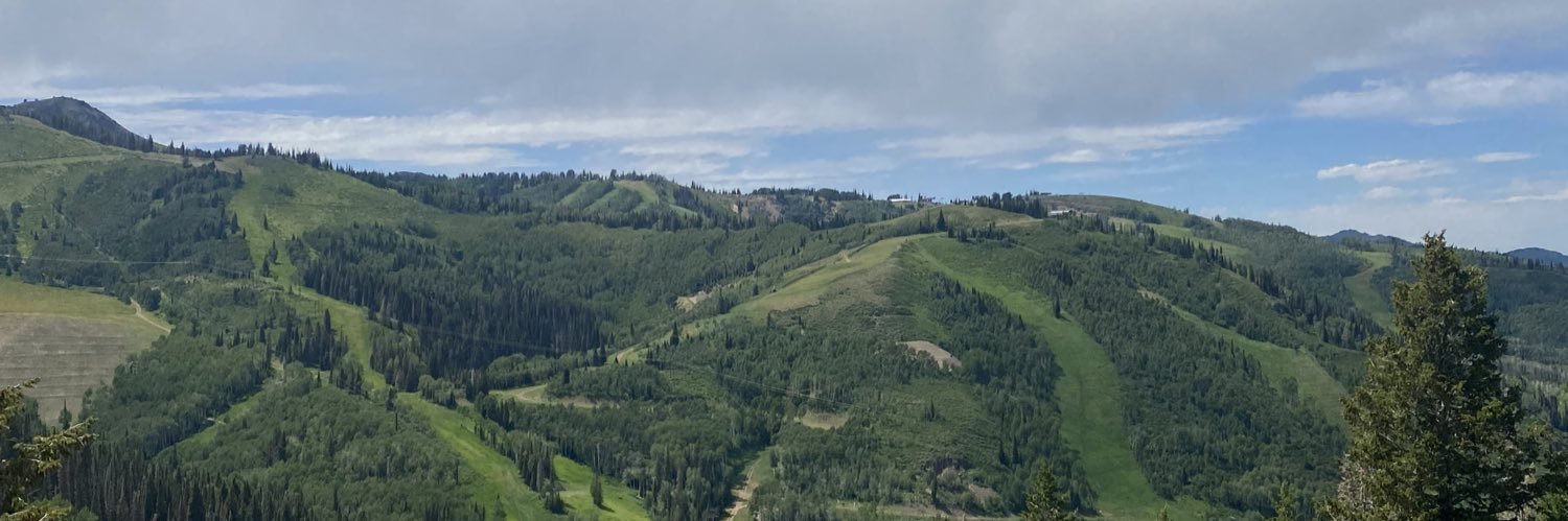 maddibach's profile banner image