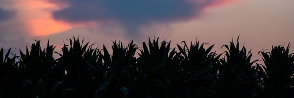 MelinaWalling Profile Banner