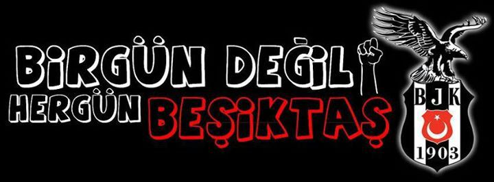 sdtonl's profile banner image