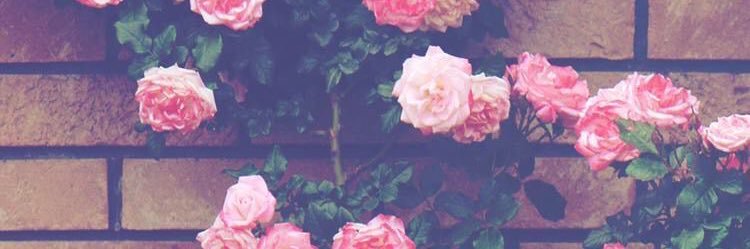 Katielbby's profile banner image