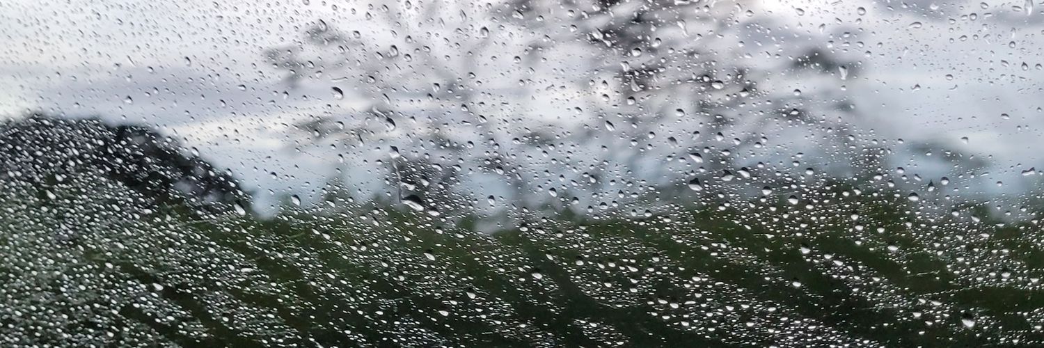 Felipeko l🍉 banner