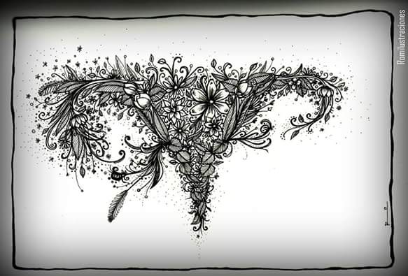 AlcntaraMonica's profile banner image
