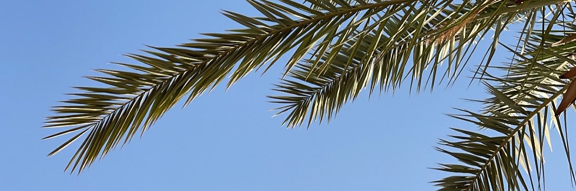 LeroyPrudence's profile banner image