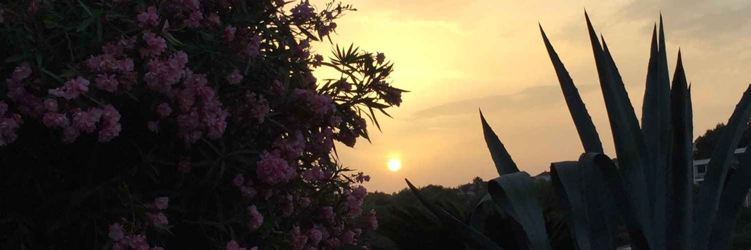ManonLcm's profile banner image