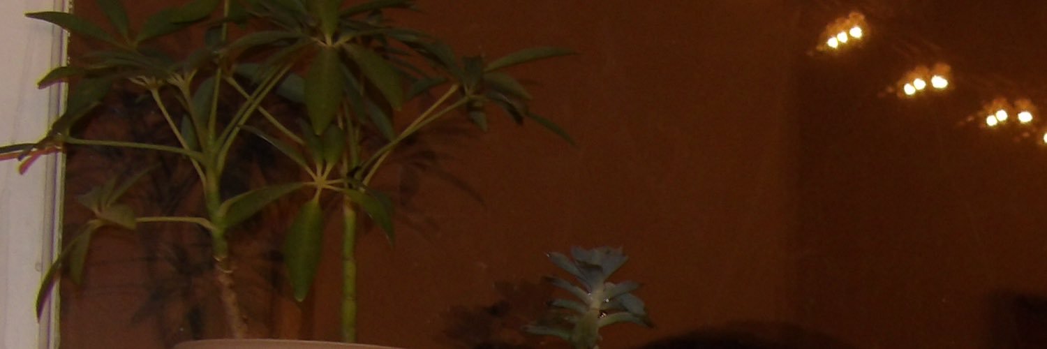 helplesslulbean's profile banner image
