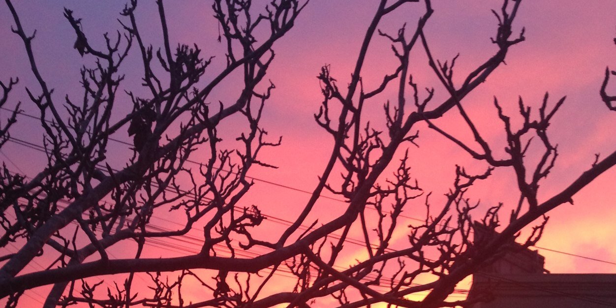 eabeeman's profile banner image