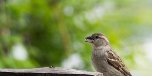 birdmites's profile banner image