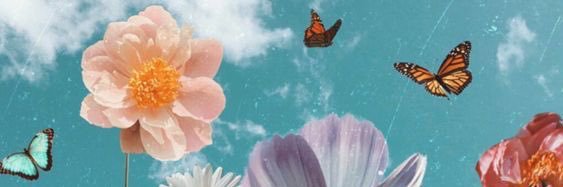STRAWBERRY1A➹ banner