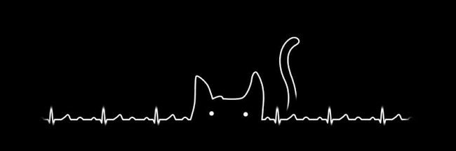 MutiaraFitryana's profile banner image