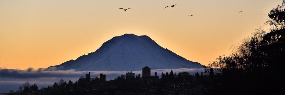 ann_d_angelo's profile banner image