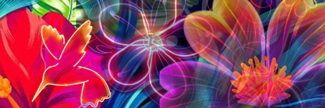 lanvinmayun's profile banner image