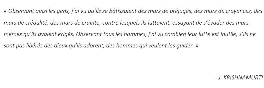Pierre banner