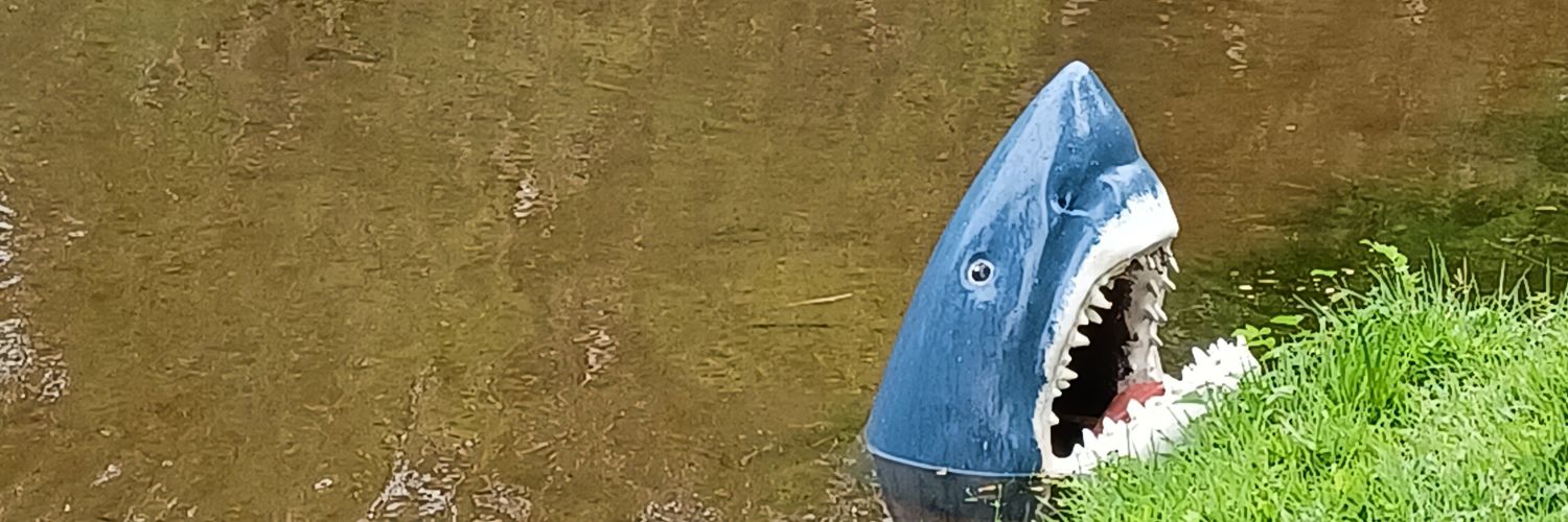 anyyarose's profile banner image