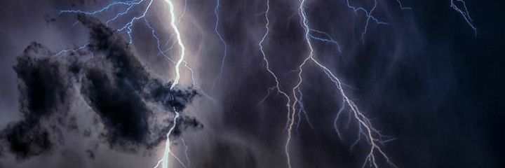 Elicia Pretorius banner
