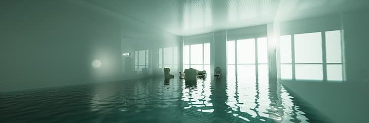 TremblingTurtle banner