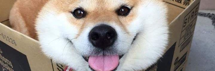 KarlMinder's profile banner image