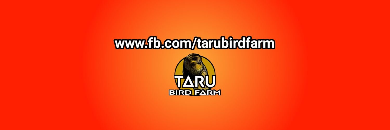 Taru Sun banner