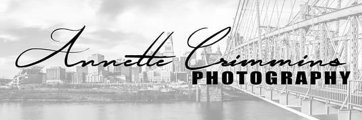 amcrimmins's profile banner image