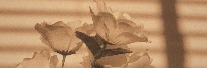 mapofselena's profile banner image