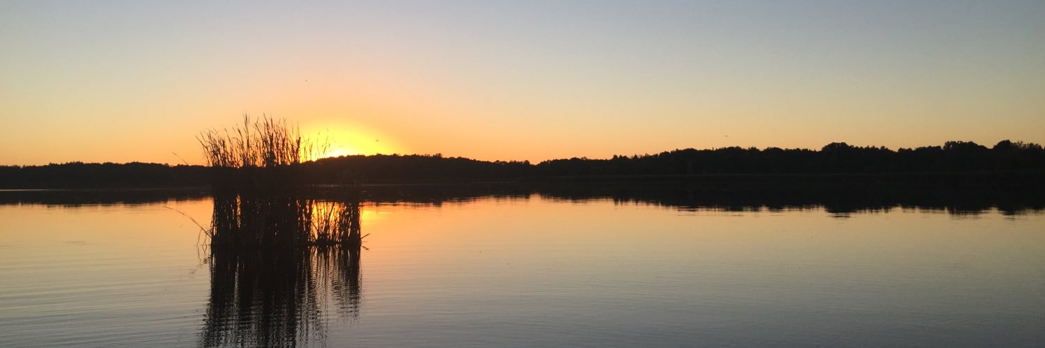 Harmonic_Fishin's profile banner image