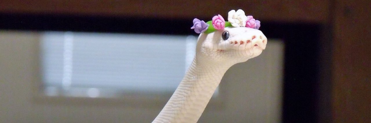 Telmirev Drekaviir banner