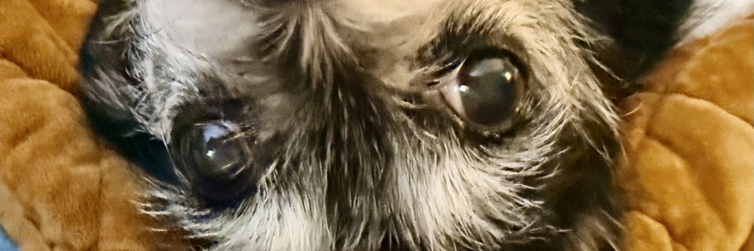 Beth Fox (Hunt) banner