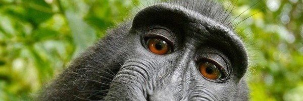 Redmayness's profile banner image