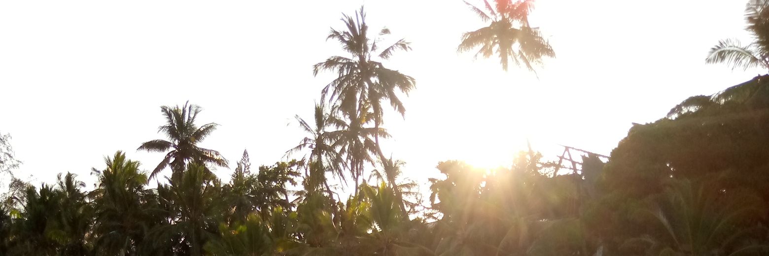 Carobbie's profile banner image