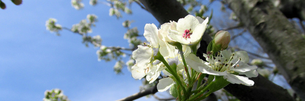 ceofreedhouse's profile banner image
