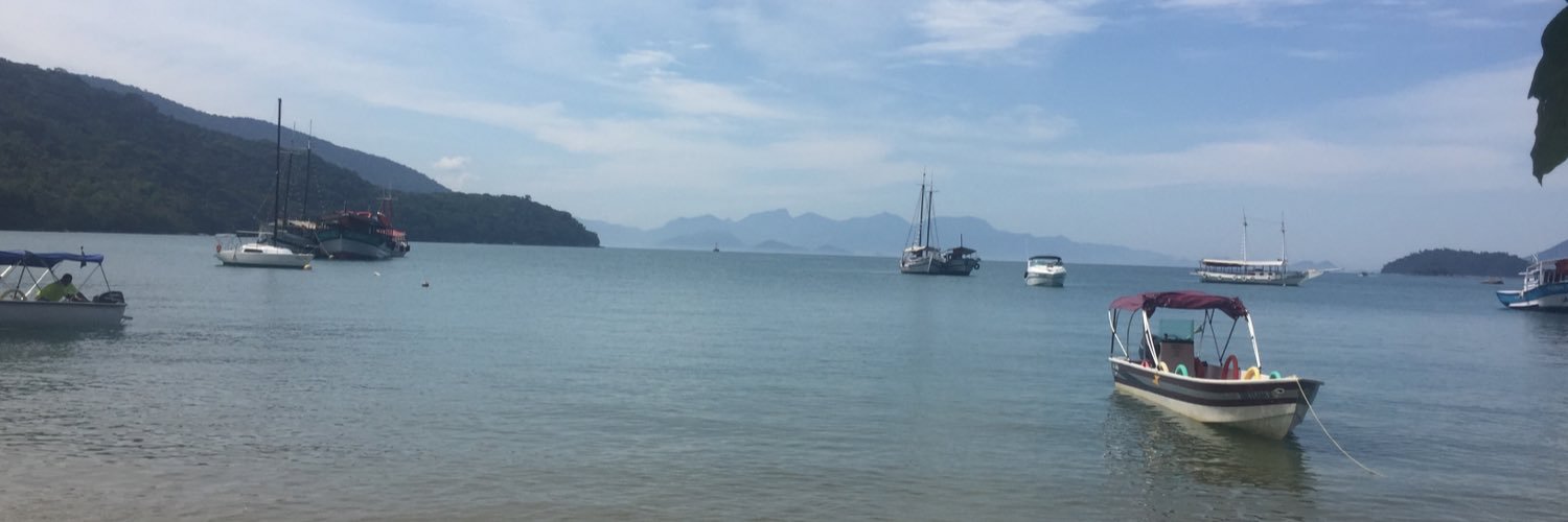 VirginiaGilardi's profile banner image