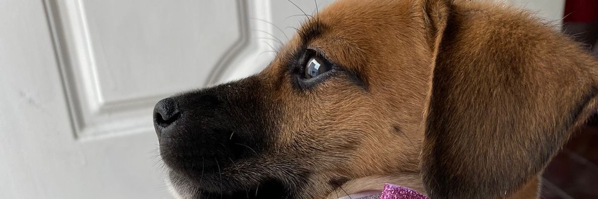 BonaePablo's profile banner image