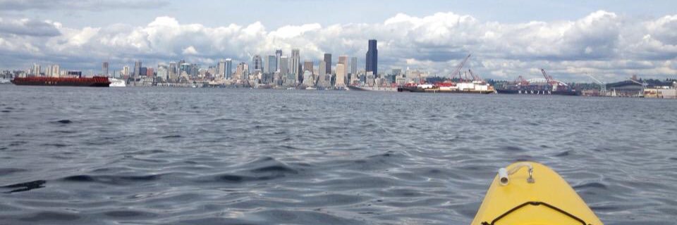 Melissa Angela Lin banner