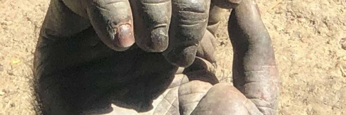 donpapi3600's profile banner image
