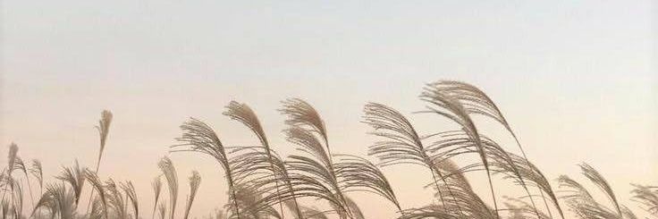 Iseulyie's profile banner image