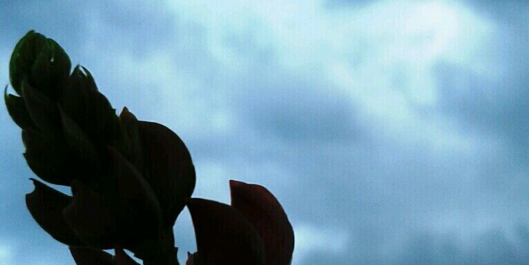 hi banner