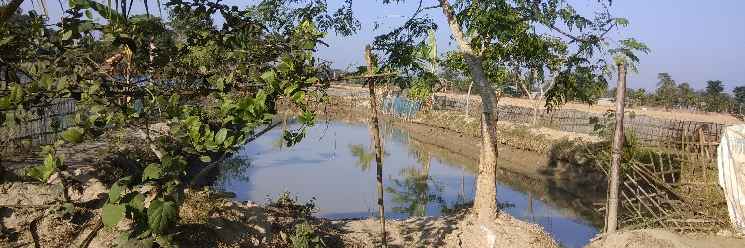 naushadnst's profile banner image
