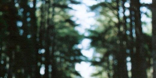 SavanahGucci's profile banner image